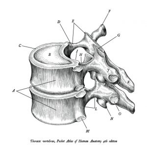 Brystryggsmerter 