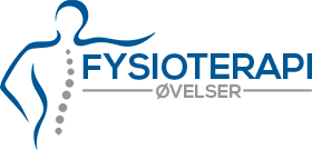 Fysioterapi 5